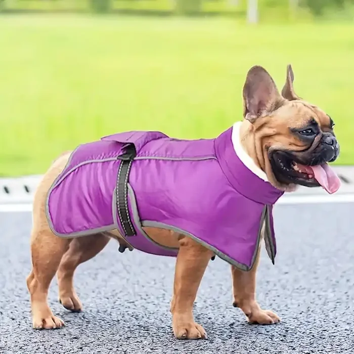 Abrigo cálido cortaviento para perro pequeño – Invierno