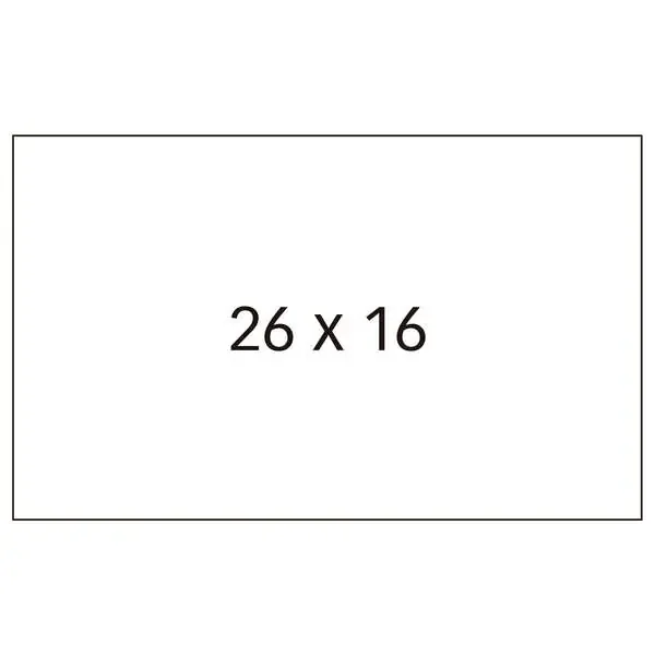 Apli Etiquetas Blancas para Maquinas Etiquetadoras de Precios de 2 Lineas – Tamaño 26 x 16mm – Pack con 6 Rollos de 1000 Etiquetas – Adhesivo Permanente – Compatible con Modelos 101419 y 102365