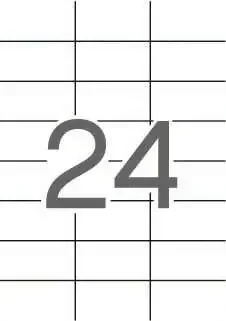 Apli Etiquetas Translucidas Resistentes Intemperie 70.0 x 37.0mm 20 Hojas