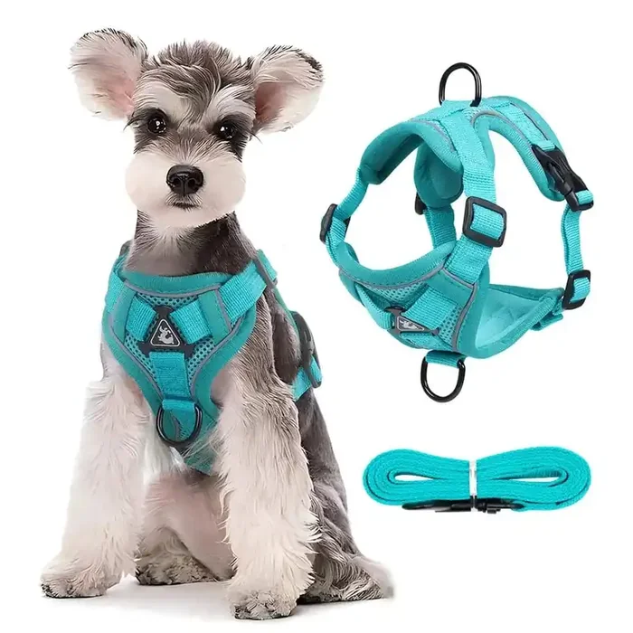 Arnés para perro Reflectante y Ajustable