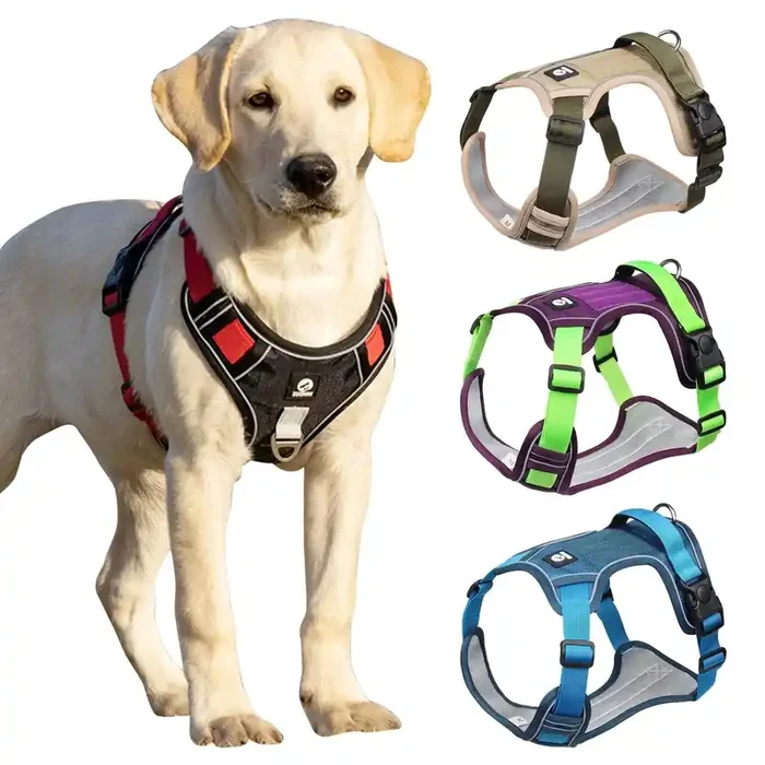 Arnés para perro resistente e impermeable