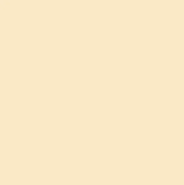 Canson Guarro Pack de 25 Cartulinas Iris A4 de 185g – 50x65cm – Color Cascara Huevo