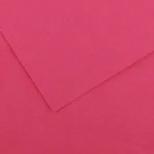 Canson Guarro Pack de 25 Cartulinas Iris A4 de 185g – 50x65cm – Color Fucsia