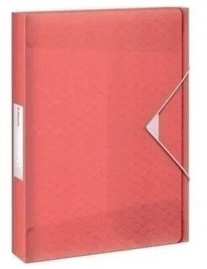 CARPETA DE PROYECTOS ESSELTE COLOUR’BREEZE PP A4 GOMAS 4 CM CORAL