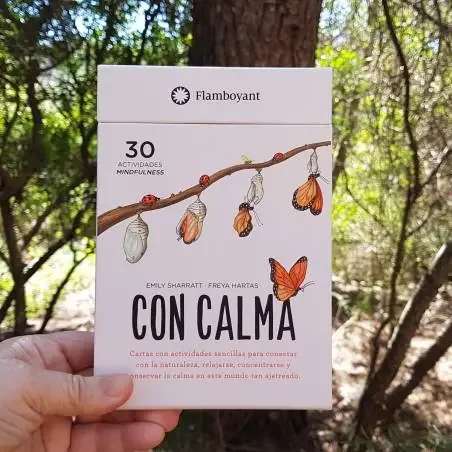 Cartas Con calma-Flamboyant