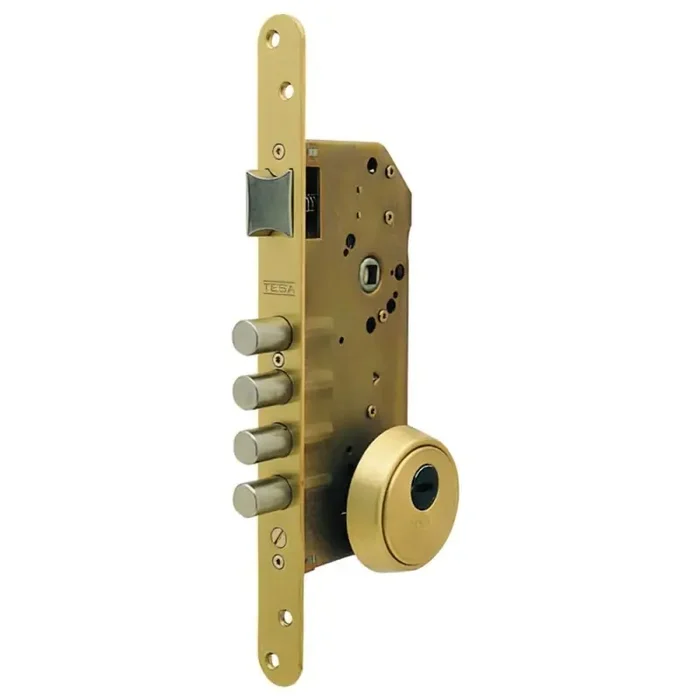 Cerradura Tesa Seguridad R200B/T6/6L