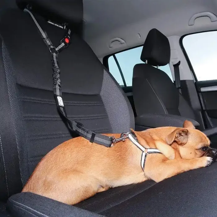 Cinturón de seguridad para perros Seguridad y confort en el coche