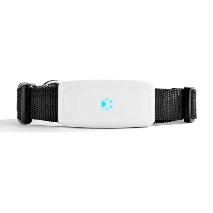 Collar con Rastreador GPS Impermeable 2G para Perro y Gato