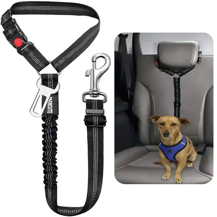 Correa para perro arnés, cinturón de seguridad y accesorios