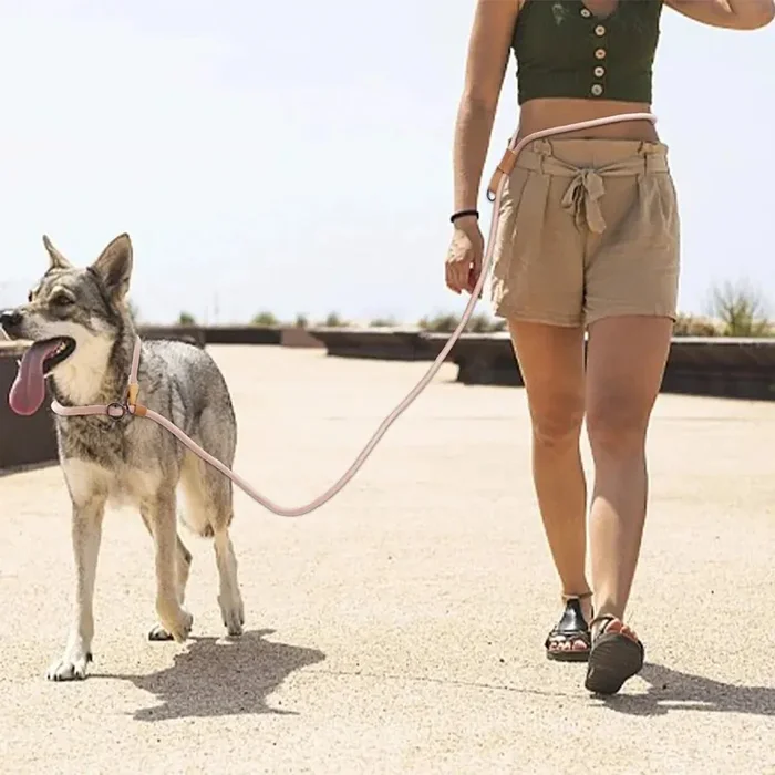 Correa para perro multifuncional ajustable y manos libres