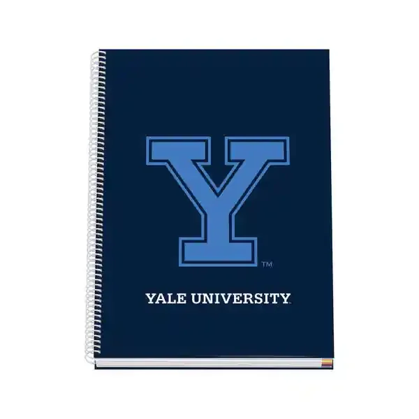 Dohe Cuaderno en Espiral de Tapa Dura A4 – 228x300mm – Cubierta en Carton Forrado con Papel Impreso a Todo Color y Plastificado Brillo – Interior de 100 Hojas en Papel Offset de 90gr