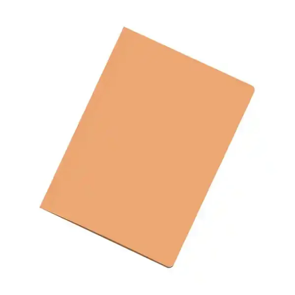 Dohe Subcarpetas Fabricadas en Cartulina de 180gr – con Ranura para Fastener – Ideal para Organizar Documentos (50 uds)