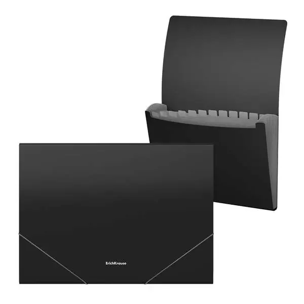 Erichkrause Clasificadores Matt Classic – 12 Fundas – Tamaño A4 – Color Negro (4 uds)