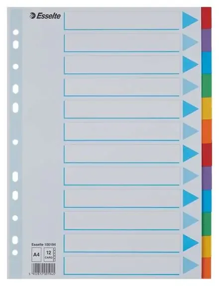 Esselte Separadores 12 Posiciones – Multitaladro – 6 Colores – Carton – Tamaño A4