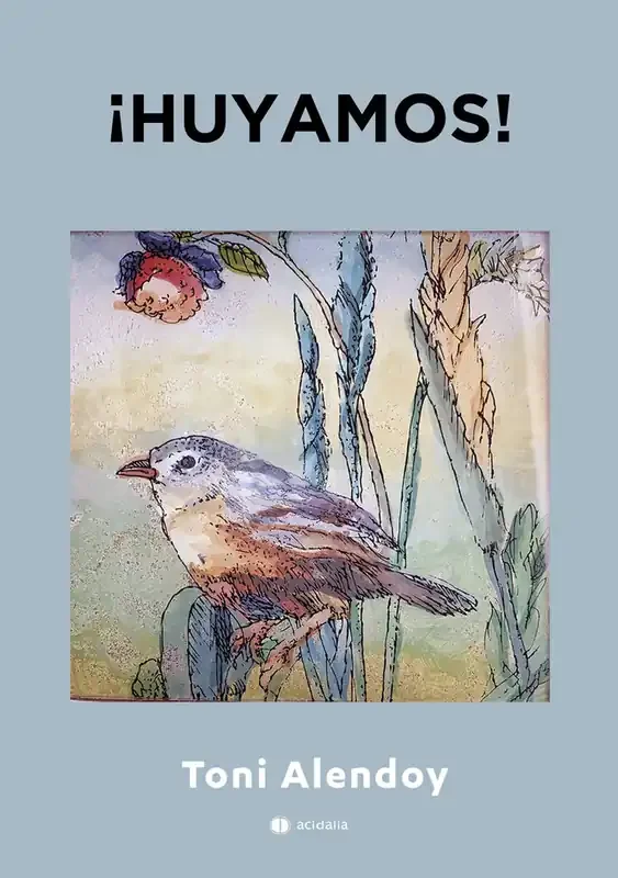 ¡huyamos!