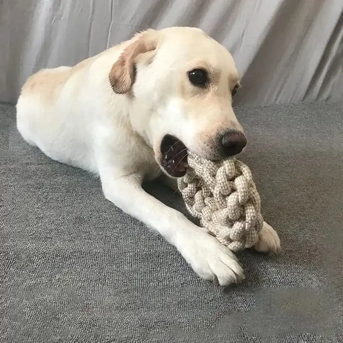 Juguete de Nudo Higiene Dental Divertida para Perros