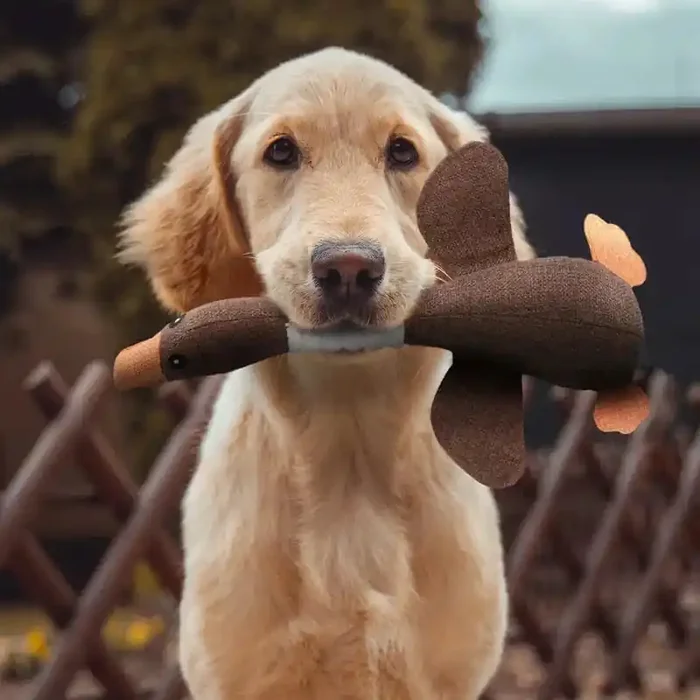 Juguete indestructible para perros – Salud dental y entretenimiento duradero