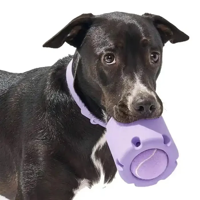 Juguete masticable de tenis duradero para perros