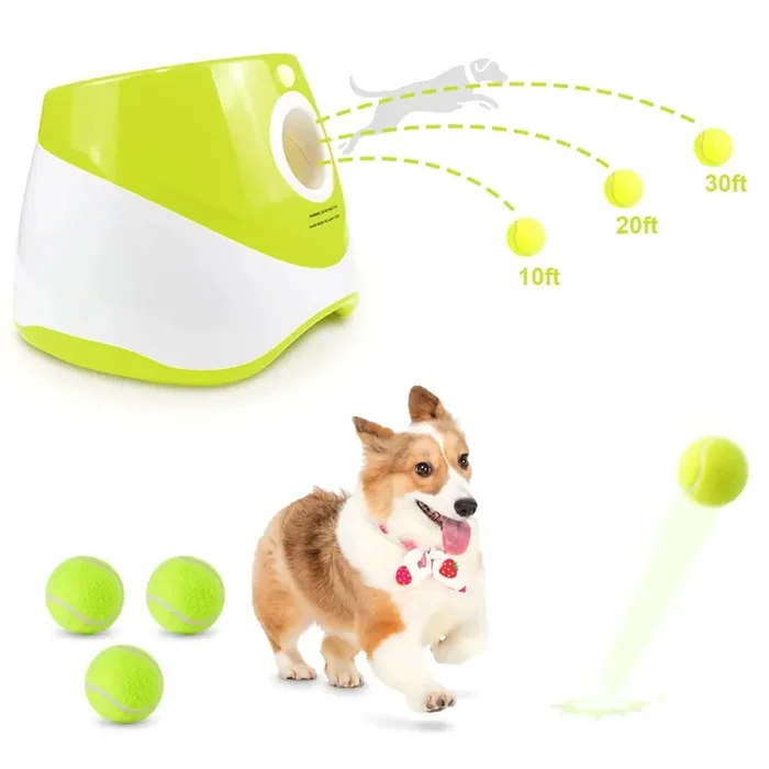 Lanzador de pelotas automático Juguete divertido para perros