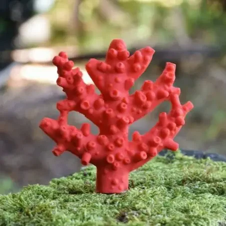 Mordedor Coral caucho natural-Lanco
