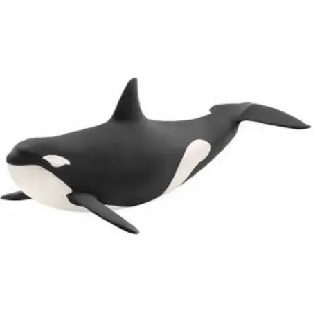 Orca-Schleich