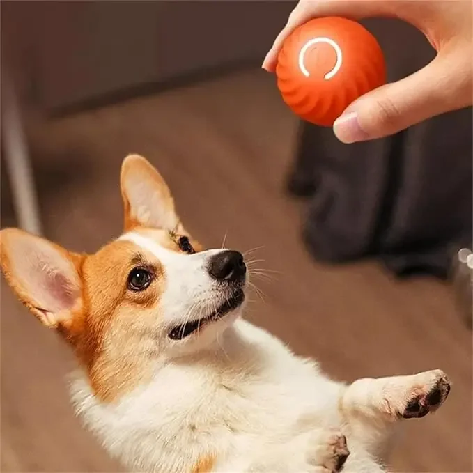 Pelota Interactiva Auto-Rodante para Perros