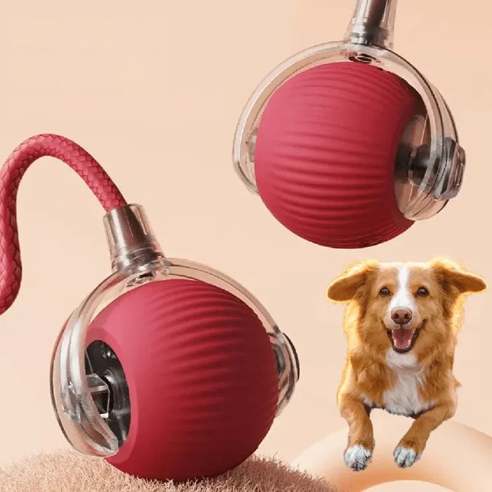 Pelota Interactiva para Perros Activos