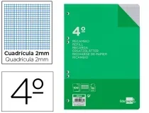 Recambio Liderpapel Cuarto 100 Hojas 60gr Milimetrado Sin Margen 6 Taladros 29681
