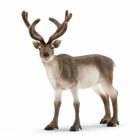 Reno-Schleich