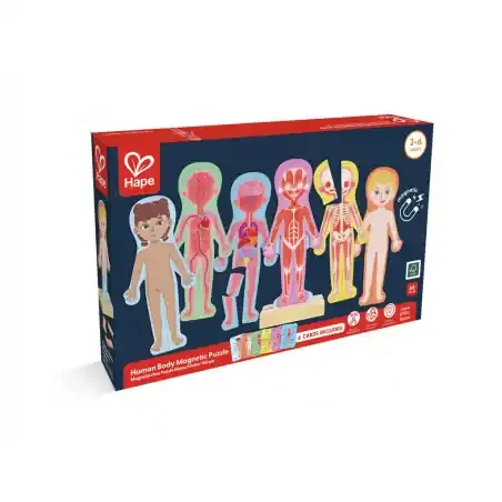 Rompecabezas magnético del cuerpo humano- HAPE