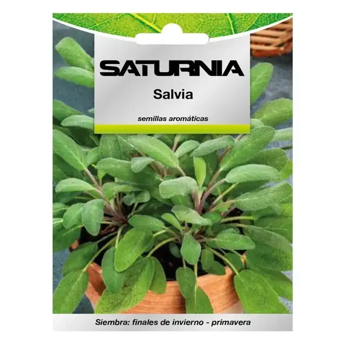 Semillas Aromáticas Salvia (1 gramo) Horticultura, Hortícola, Semillas Huerto.