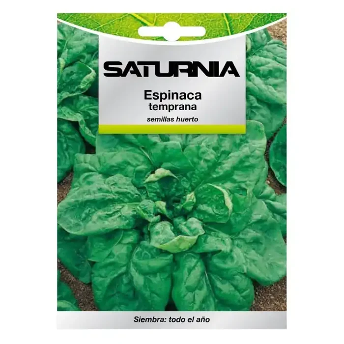 Semillas Espinaca Temprana (8 gramos) Semillas Verduras, Horticultura, Hortícola, Semillas Huerto.