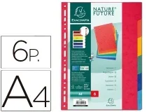 Separador Exacompta cartulina simil prespan juego de 6 separadores Din A4 multitaladro 1406E