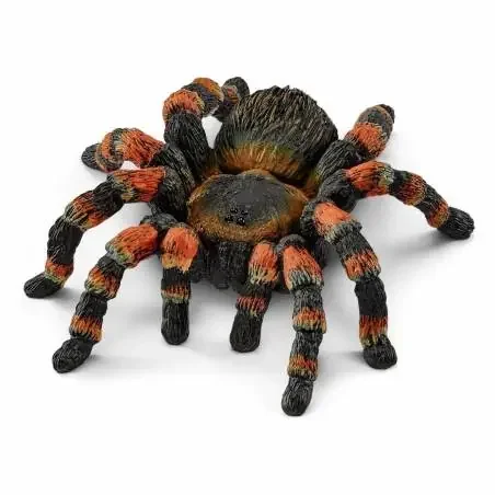 Tarántula-Schleich