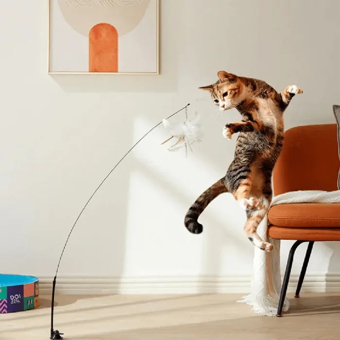 Vogelspiel Juguete interactivo para gatos