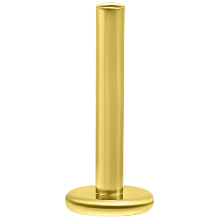 Wildcat® – Labret Perfect Fit 14K